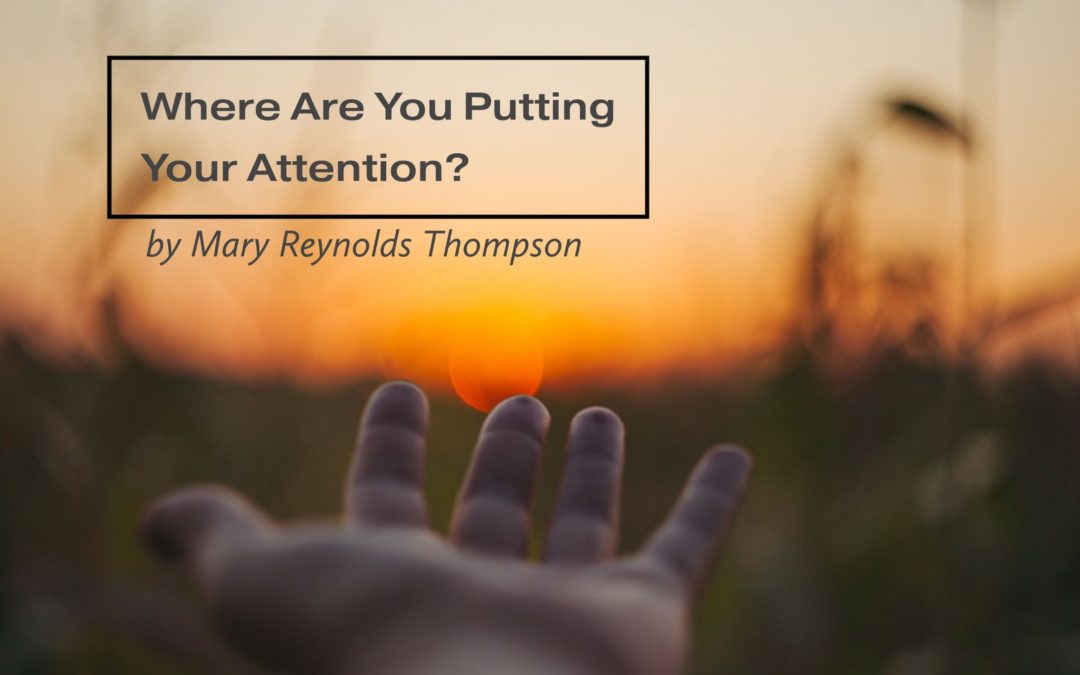 Where Are You Putting Your Attention? – by Mary Reynolds Thompson